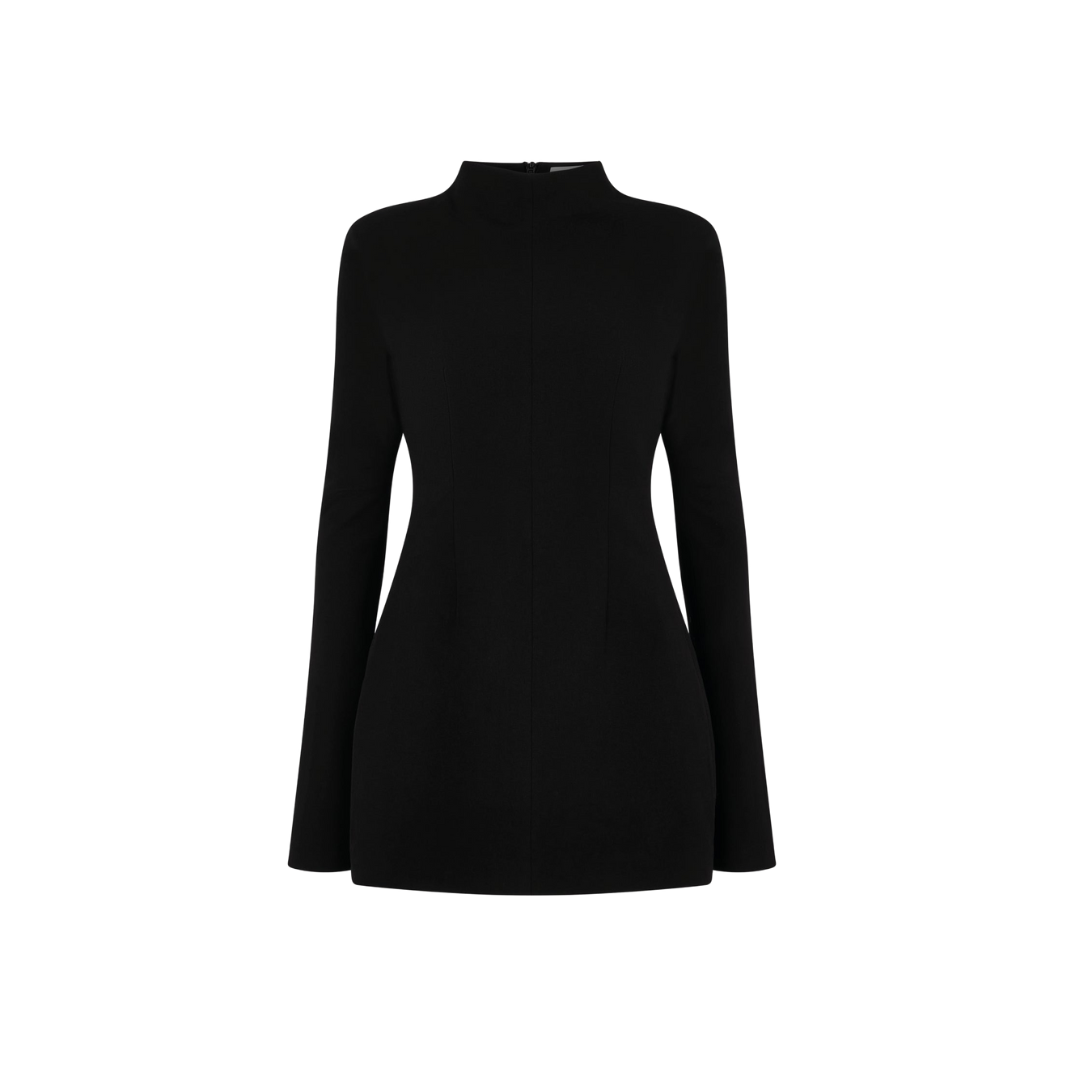 Wool Contoured Turtleneck Long Sleeve Mini Dress – Nueve Los Angeles